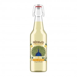 KEFIR CITRON GINGEMBRE BIO