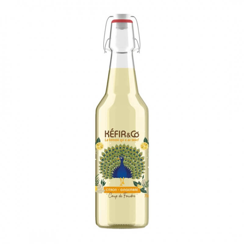 KEFIR CITRON GINGEMBRE BIO