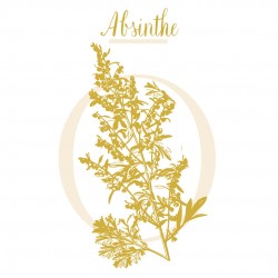 ARTEMISIA ABSINTHE