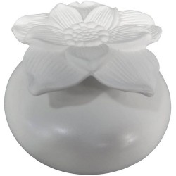 FLEUR DIFFUSEUR CAPILLARITE