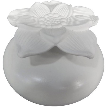 FLEUR DIFFUSEUR CAPILLARITE