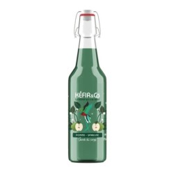 KEFIR POMME SPIRULINE BIO